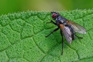 DSC_9215_ji_c.jpg DSC_9215_ji_c.jpg