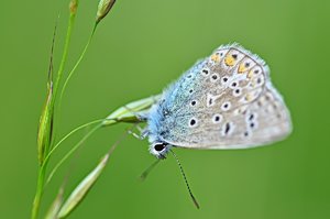 DSC_9293_ji_c.jpg DSC_9293_ji_c.jpg