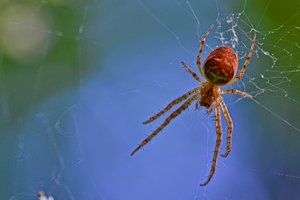 DSC_9255_ji_c.jpg DSC_9255_ji_c.jpg