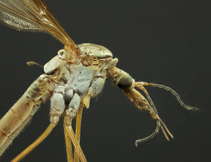 Stack 05 - fertig.jpg