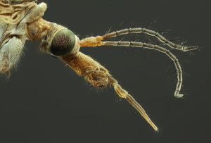 Stack 06MF - fertig.jpg