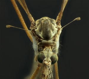 Stack 07 - fertig.jpg