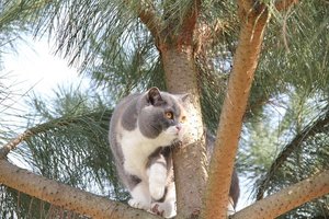 IMG_0151 - Kopie.JPG