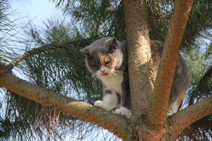 IMG_0150 - Kopie.JPG