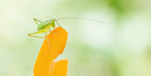 20140611-027 bearb..jpg