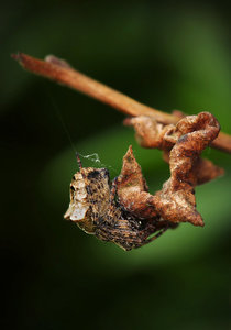 Stack 04 - Fertig.jpg