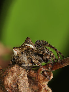 Stack 06 - Fertig-1.jpg