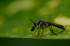 DSC_5826.jpg DSC_5826.jpg