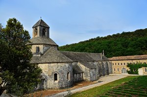 DSC_7574_ji_c.jpg DSC_7574_ji_c.jpg