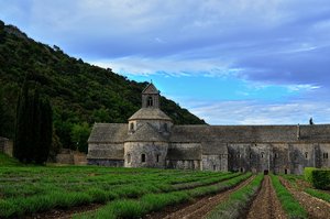 DSC_7585_ji_c.jpg DSC_7585_ji_c.jpg