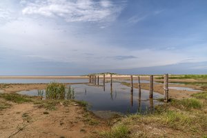 comp__DSC7254.jpg comp__DSC7254.jpg