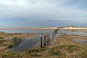 comp__DSC7259.jpg comp__DSC7259.jpg