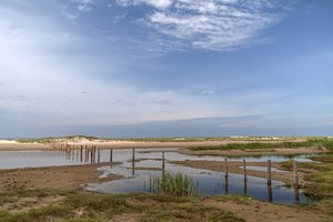 comp__DSC7265.jpg comp__DSC7265.jpg