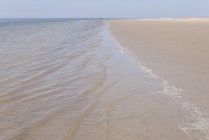 comp__DSC2403.jpg comp__DSC2403.jpg