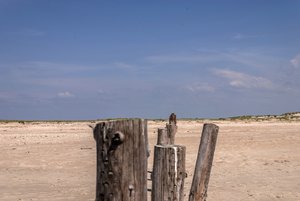 comp__DSC2414.jpg comp__DSC2414.jpg