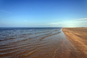 comp__DSC2329.jpg comp__DSC2329.jpg