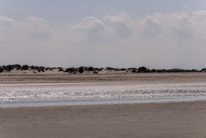 comp__DSC2339.jpg comp__DSC2339.jpg