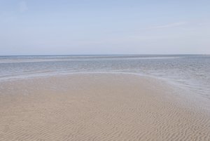 comp__DSC2353.jpg comp__DSC2353.jpg