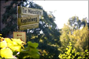 Bild-1.jpg Bild-1.jpg