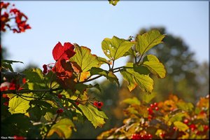 Bild-12.jpg Bild-12.jpg