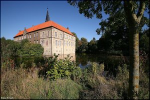 Bild-18.jpg Bild-18.jpg