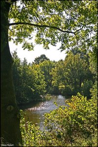 Bild-25.jpg Bild-25.jpg