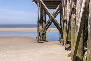 comp__DSC2752.jpg comp__DSC2752.jpg