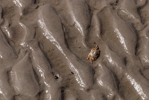 comp__DSC2734.jpg comp__DSC2734.jpg