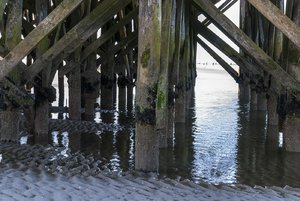 comp__DSC2747.jpg comp__DSC2747.jpg