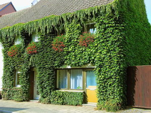 Spreewald_189 Kopie.jpg