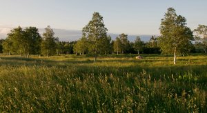 comp_DSC_1061.jpg comp_DSC_1061.jpg