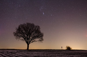 DSC_0972-Bearbeitet-Bearbeitet Kopie.jpg