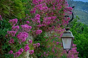 DSC_7738_ji_c.jpg DSC_7738_ji_c.jpg