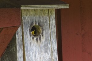 IMG_6071.jpg IMG_6071.jpg