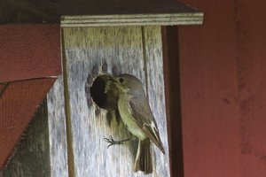 IMG_6072.jpg IMG_6072.jpg