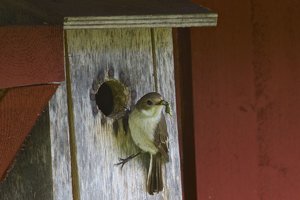 IMG_6074.jpg IMG_6074.jpg