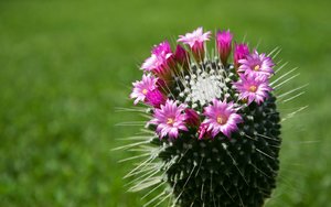 comp_DSC_1177.jpg comp_DSC_1177.jpg