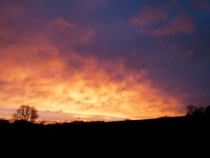 Gleich ist sie weg....jpg