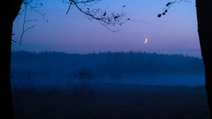 2011_10_29_SD14_Chorin_Ragoese_Kuhwiese_Mondsichel_0034_remake2013_VarB_1200x675pix.jpg 2011_10_29_SD14_Chorin_Ragoese_Kuhwiese_Mondsichel_0034_remake2013_VarB_1200x675pix.jpg