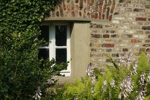 Forum DSC03744 Nex 5r + Canon FD 1,4 50mm (c) PPf.jpg