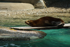 DSC02748.jpg DSC02748.jpg