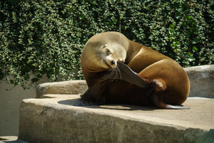 DSC02760.jpg DSC02760.jpg