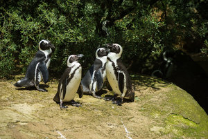 DSC02785.jpg DSC02785.jpg