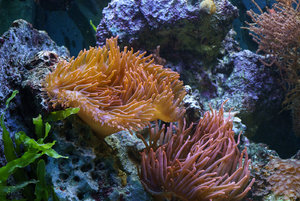 DSC02802.jpg DSC02802.jpg