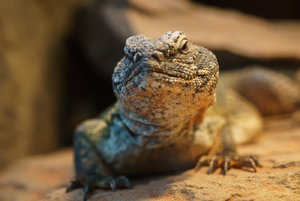 DSC02818.jpg DSC02818.jpg