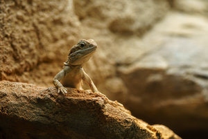 DSC02824.jpg DSC02824.jpg