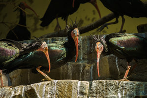 DSC02854.jpg DSC02854.jpg