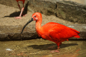 DSC02858.jpg DSC02858.jpg