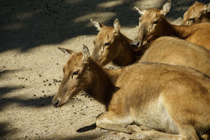 DSC02867.jpg DSC02867.jpg