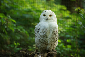 DSC02872.jpg DSC02872.jpg